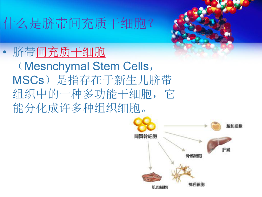 脐带间充质干细胞(9月季度培训课件).ppt_第3页