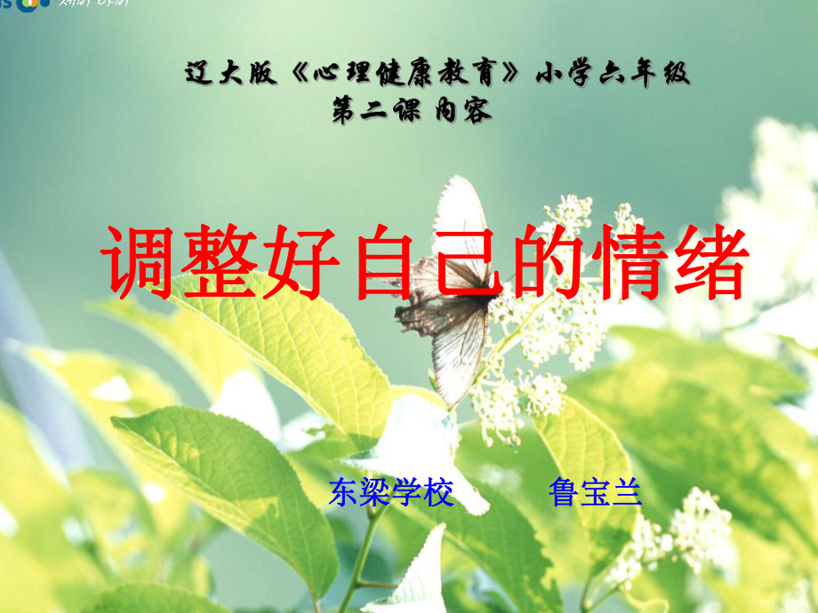 《第二课-调整好自己的情绪课件》小学心理健康教育辽大版六年级下册936.ppt.ppt_第1页