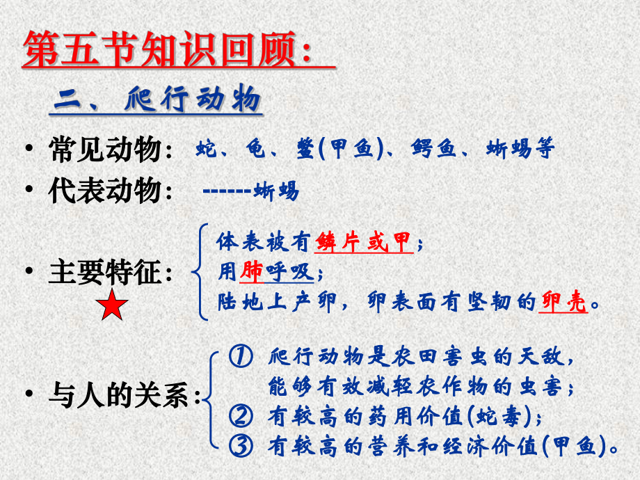 人教版生物八年级上册5.1.6《鸟》课件2.ppt_第3页