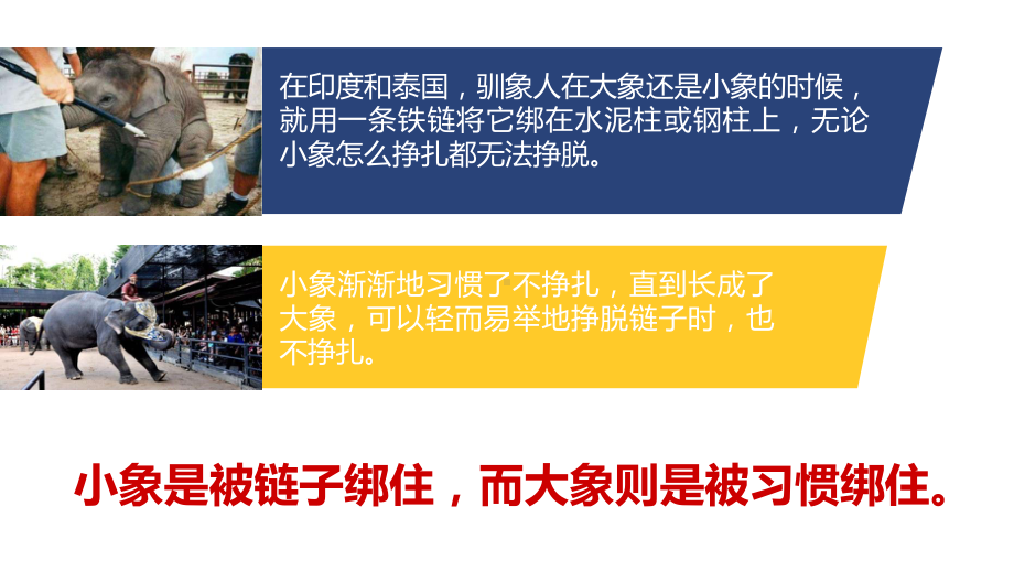 青少年自信自强主题教育班会PPT课件.ppt_第3页