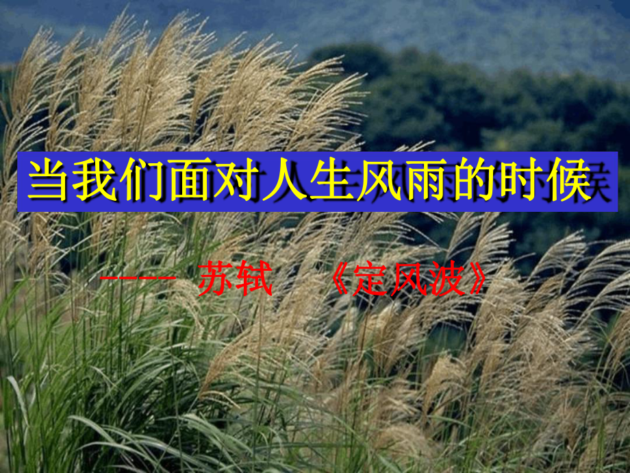 定风波优秀课件公开课.ppt.ppt_第1页