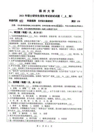 2021年扬州大学硕士考研真题653艺术设计基础知识.pdf