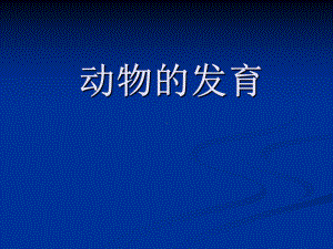 动物的发育PPT优秀课件-苏科版.ppt