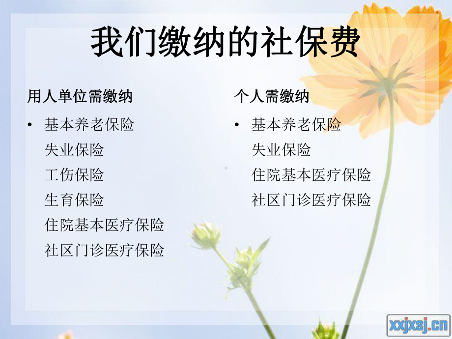 社会保险法培训课件.ppt_第3页