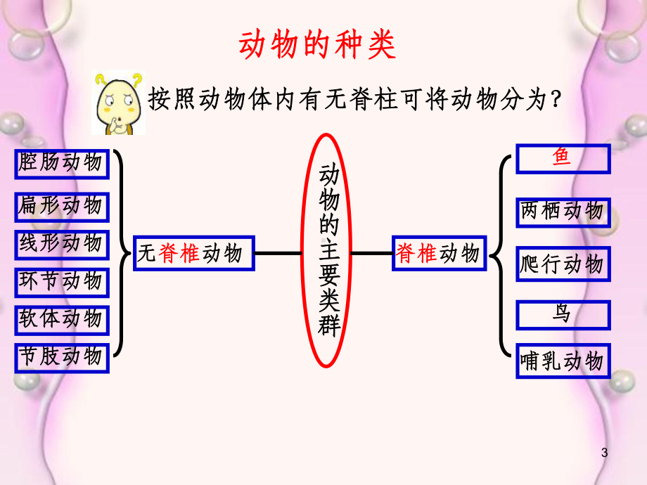 动物的主要类群复习课课件PPT.ppt_第3页