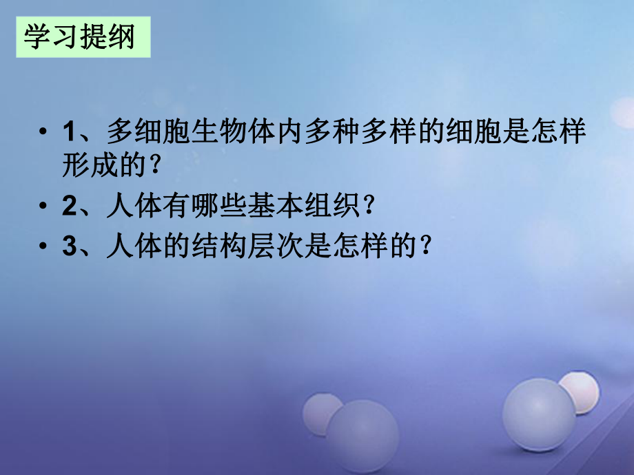 湖南省耒阳市七年级生物上册2.2.2动物体的结构层次课件.ppt_第3页