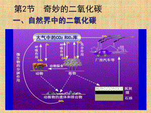 新沪教版九年级化学上册-第二章-第2节《奇妙的二氧化碳》PPT课件.ppt