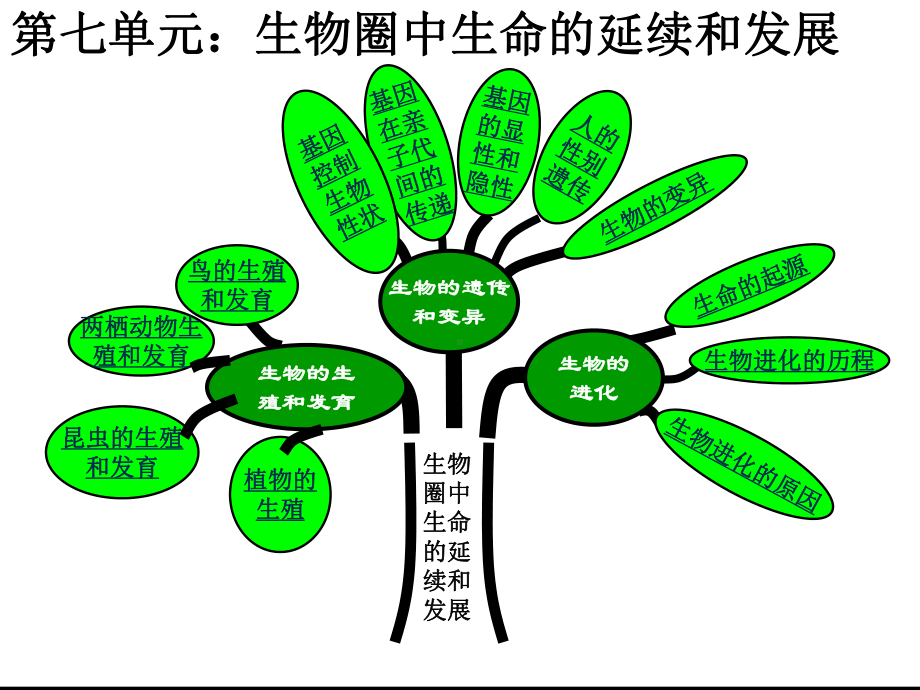 人教版八年级生物下册总复习课件.ppt.ppt_第2页