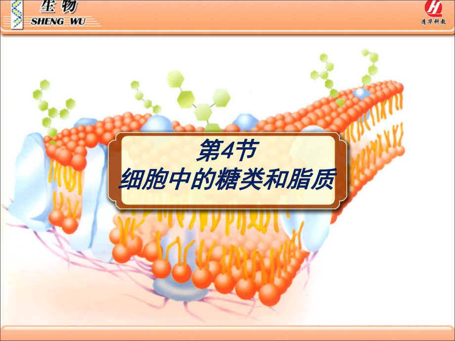 生物①必修2.4《细胞中的糖类和脂类》PPT课件.ppt_第1页