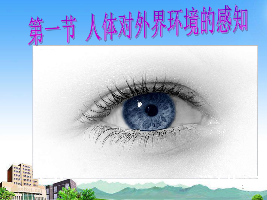 眼和视觉(课件).ppt_第1页