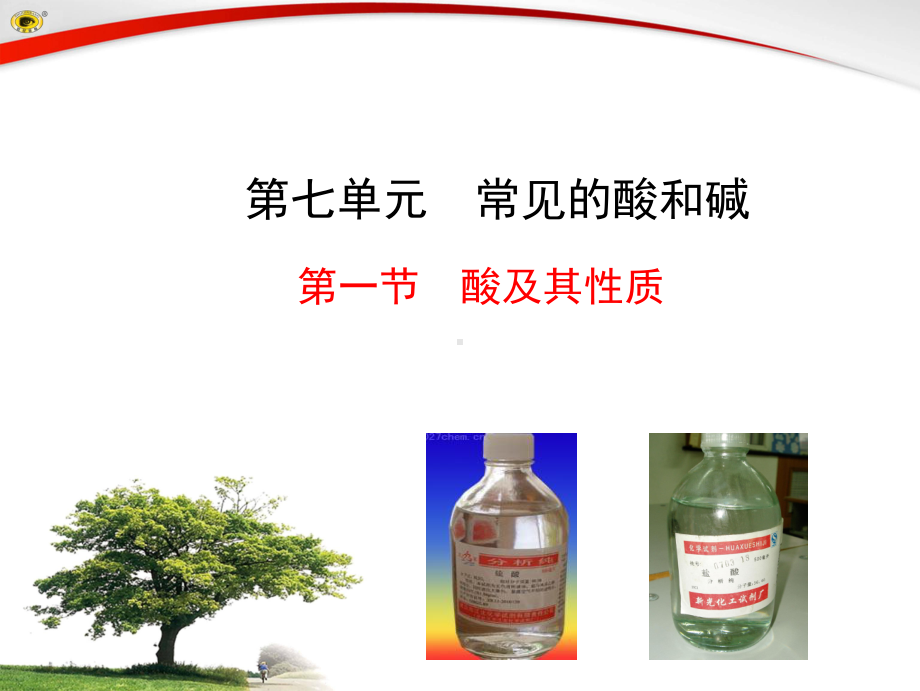 第七单元第一节-酸及其性质课件(25张PPT).ppt_第1页