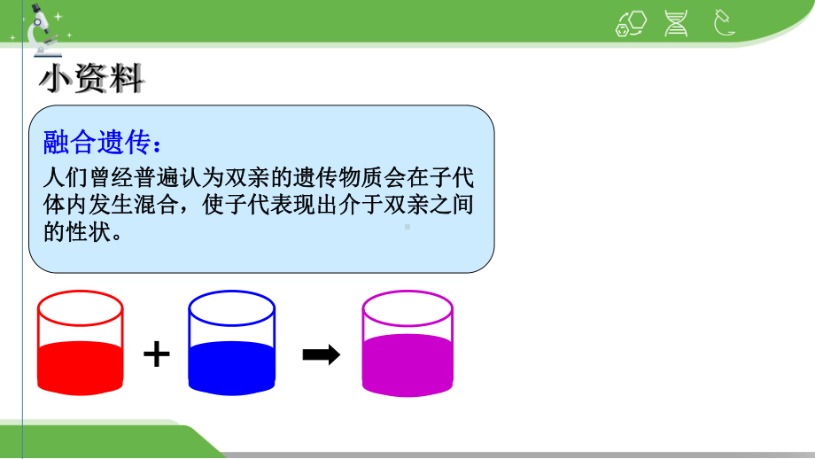 人教版高中生物必修二孟德尔的豌豆杂交实验一课件.pptx_第3页