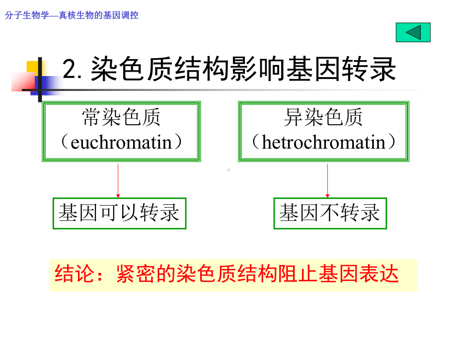 chap12-真核生物基因表达调控-PPT课件.ppt_第3页