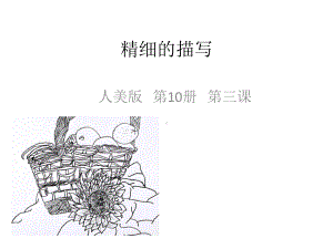 小学五年级美术下册-精细的描写1名师公开课省级获奖课件-人美版.ppt