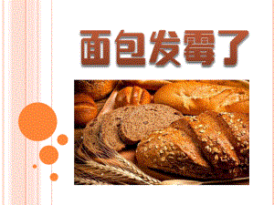 《面包发霉了》食物PPT优秀课件4.ppt