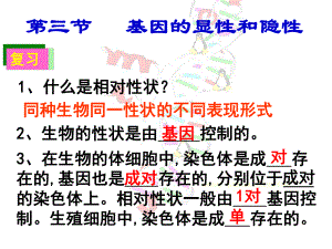 基因的显性和隐性ppt课件1.ppt