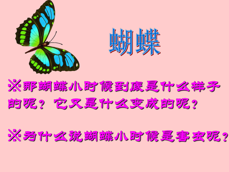 家教课蝴蝶ppt课件.ppt_第3页