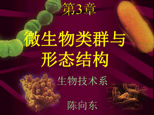 沈萍微生物课件第3章b.ppt