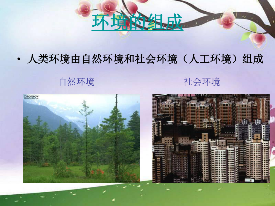 第一章《环境与环境问题》ppt(人教版选修6)课件.ppt_第3页