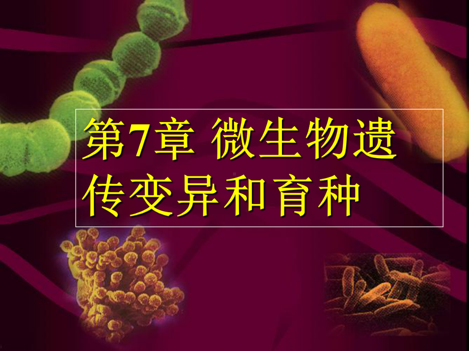 微生物课件-第7章.ppt_第1页