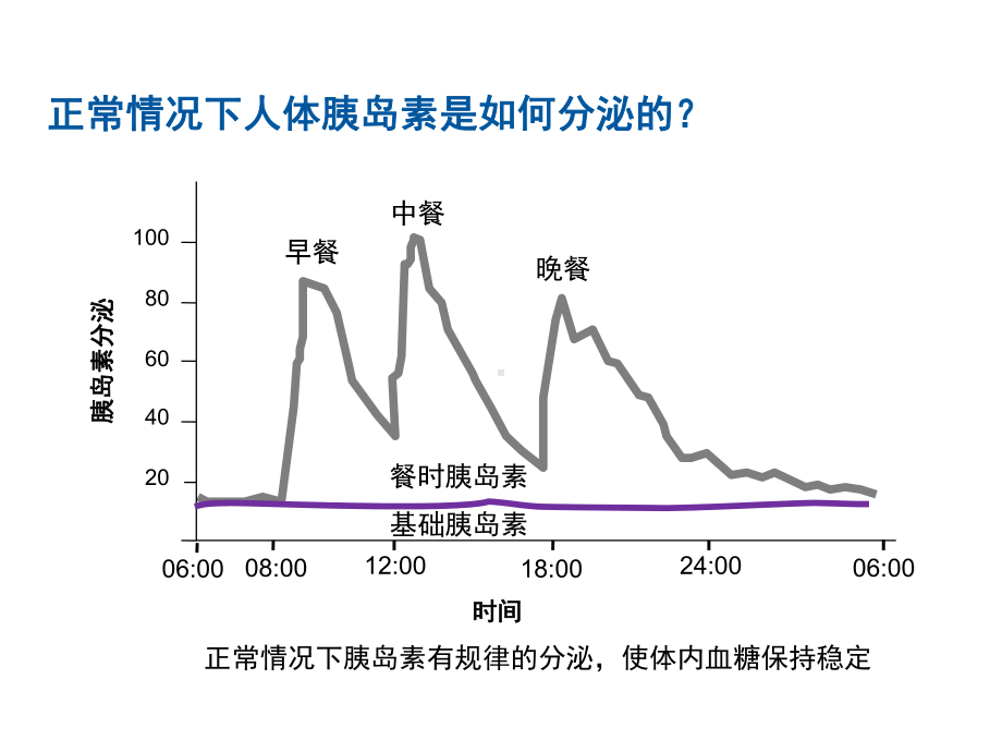 6.认识胰岛素-PPT课件.ppt_第3页