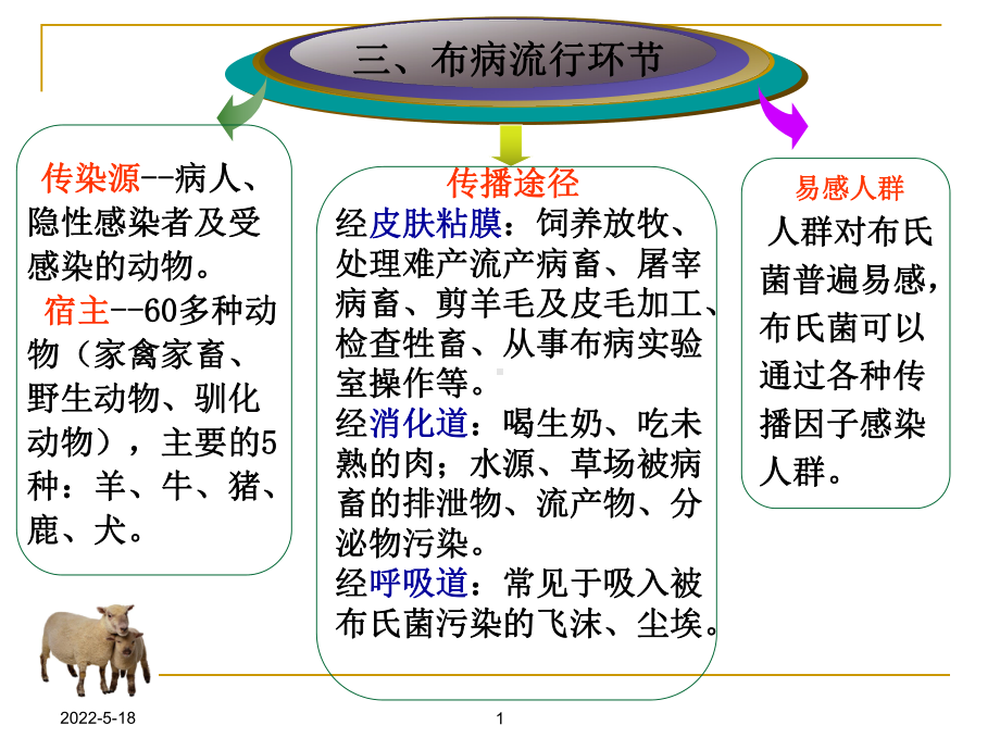 布鲁氏菌病PPT图片