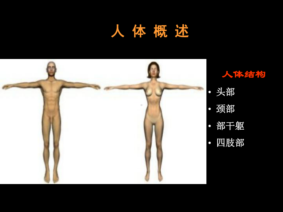 苏教版生物七年级下册第8章《第三节 人体概述》课件3.ppt_第1页