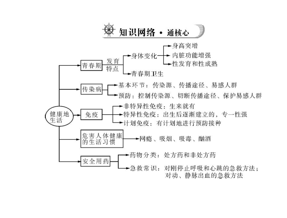 复习课件：健康地生活.ppt_第3页