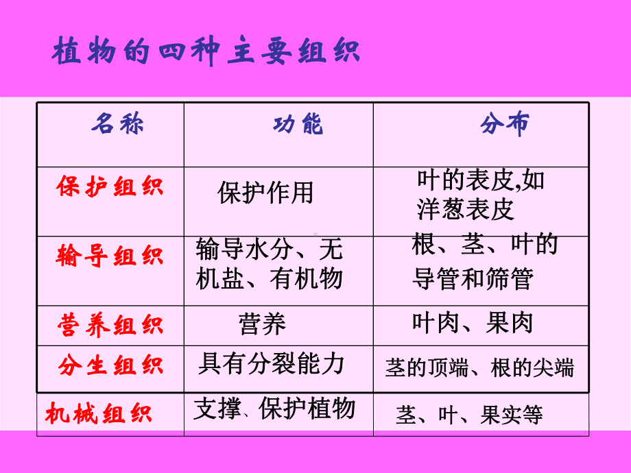 单细胞生物课件1-(1).ppt_第2页