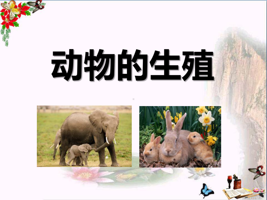 《动物的繁殖》新的生命-精品课件2.ppt_第1页