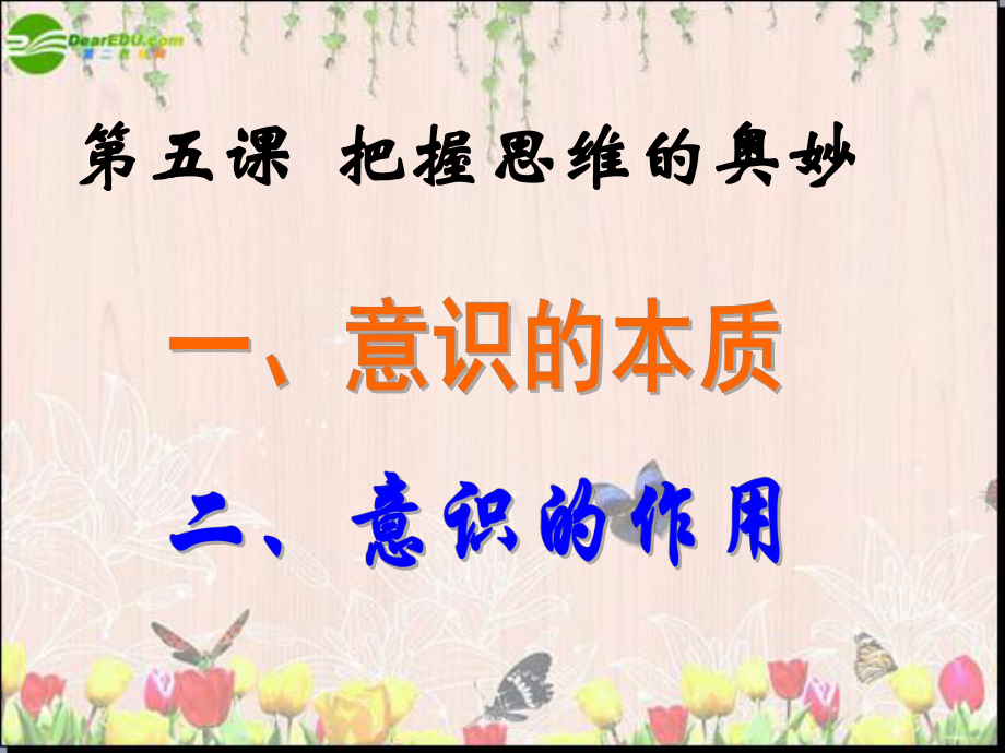 意识的本质PPT课件.ppt_第2页