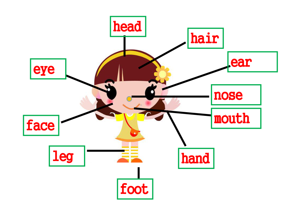 三年级上英语课件-U6-touch-your-head-教科版(广州深圳).ppt（无音视频）_第2页