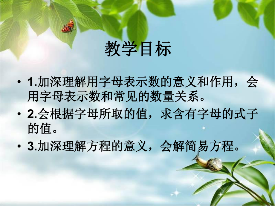 《总复习：式与方程》PPT课件1.ppt_第1页