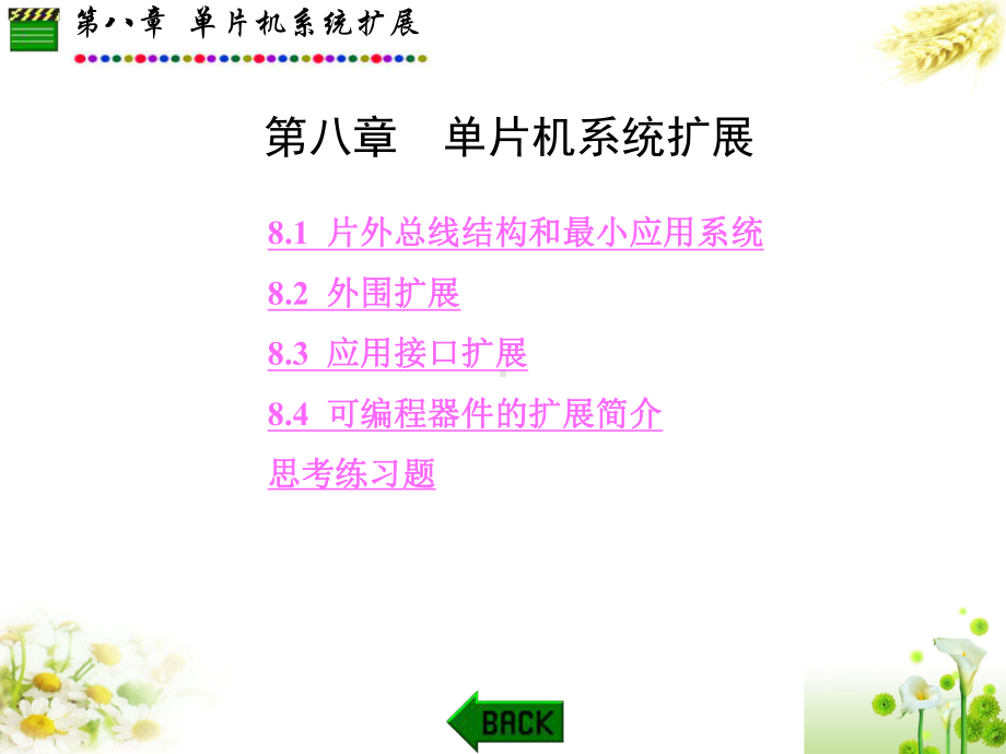 第8章单片机经典课件.ppt_第1页