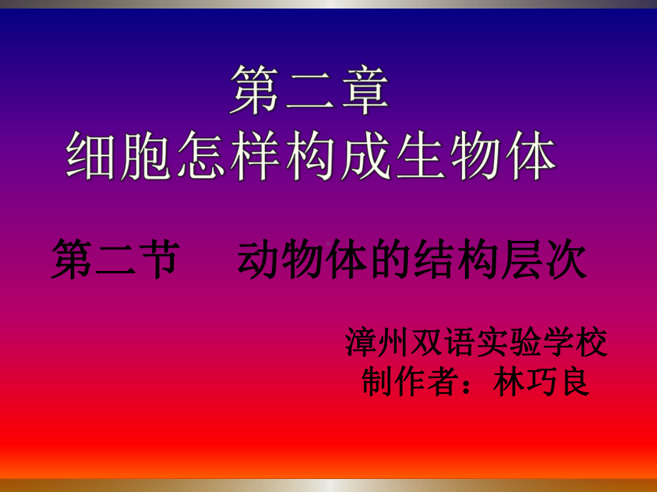 动物体层次课件.ppt_第1页