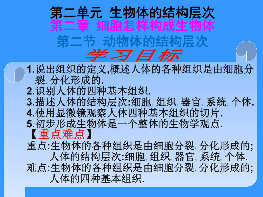 河北省平泉四海中学七年级生物上册2.2.2动物体的结构层次课件.ppt_第3页