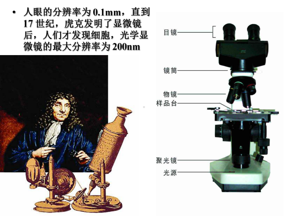 人教版教学高一生物《第二章-细胞的基本形态结构与功能》-PPT课件.ppt_第2页