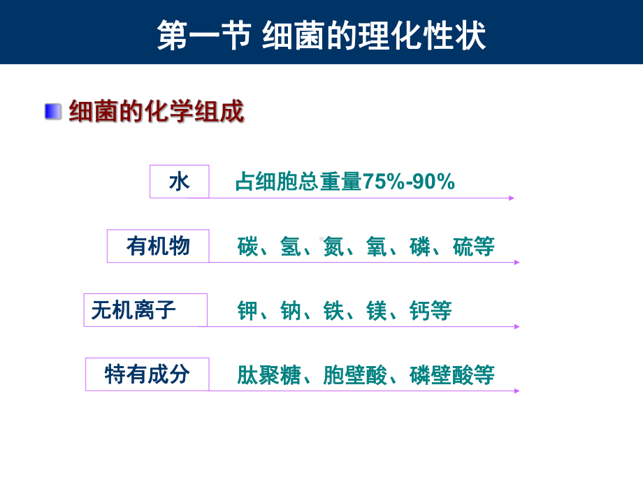 2细菌的生理-PPT课件.ppt_第2页