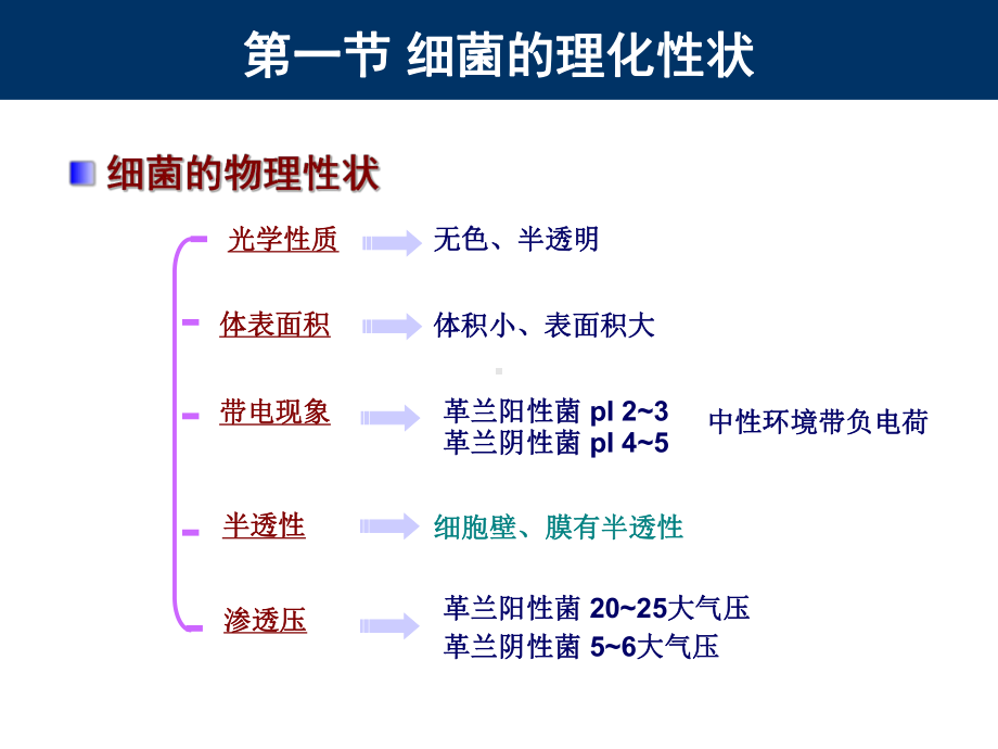 2细菌的生理-PPT课件.ppt_第3页