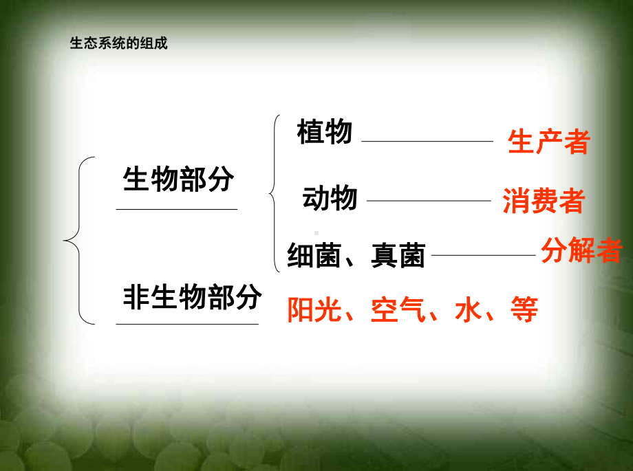 细菌和真菌在自然界中的作用课件-(1)精品中学ppt课件.ppt_第2页