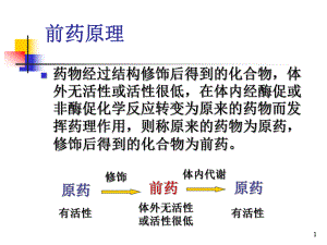 04药物结构修饰-PPT课件.ppt