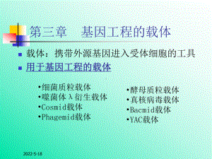 基因工程-第三章-基因工程的载体-PPT课件.ppt