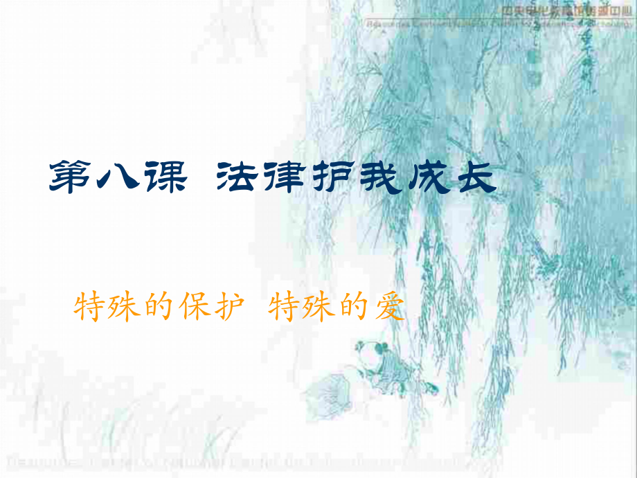 初一政治下学期特殊的保护-特殊的爱ppt课件.ppt_第1页