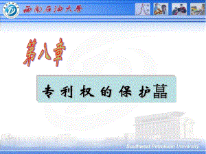 知识产权课件-：第八章-专利保护.ppt