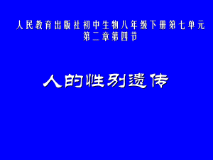 《第四节-人的性别遗传》PPT课件(辽宁省县级优课).ppt