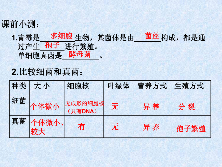 第四节《细菌和真菌在自然界中的作用》课件.ppt_第1页