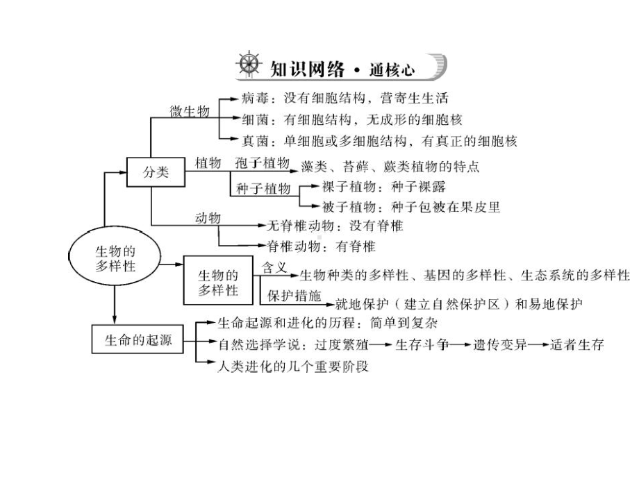 江西省2014届九年级中考生物总复习课件：第一部分-第七章-生物的多样性.ppt_第3页