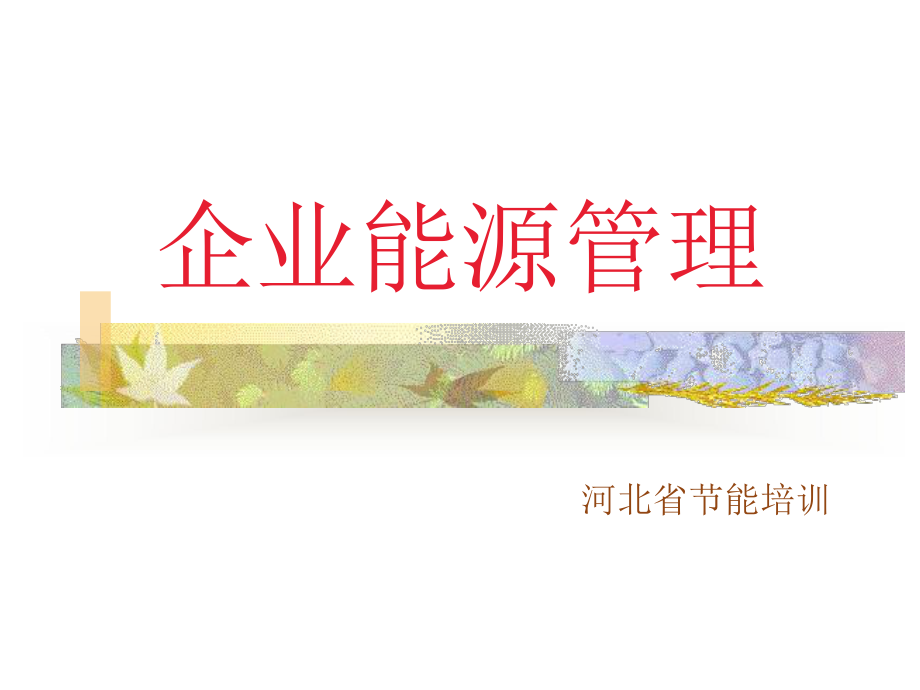 华北制药培训课件.ppt_第1页