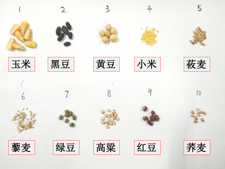 《第一节-农业的区位选择》PPT课件(山西省市级优课).ppt_第3页