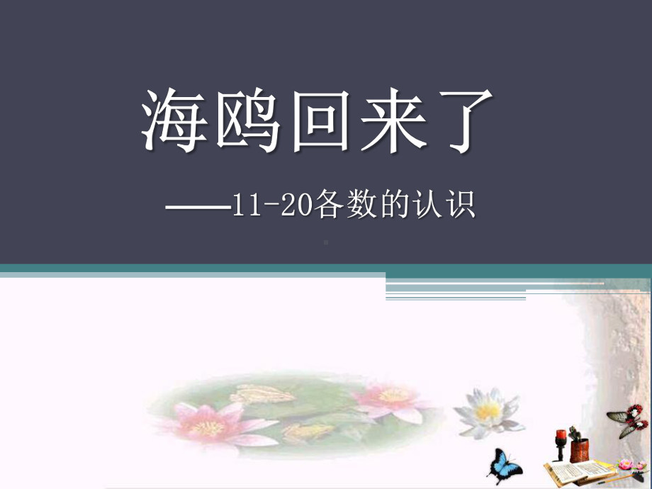 《海鸥回来了》-精品课件.pptx_第1页